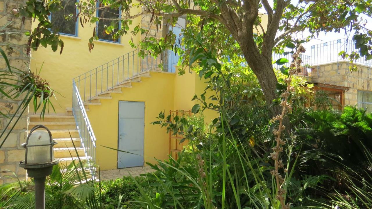Artsea Studio Apartment With Sea View Ein Hod Εξωτερικό φωτογραφία